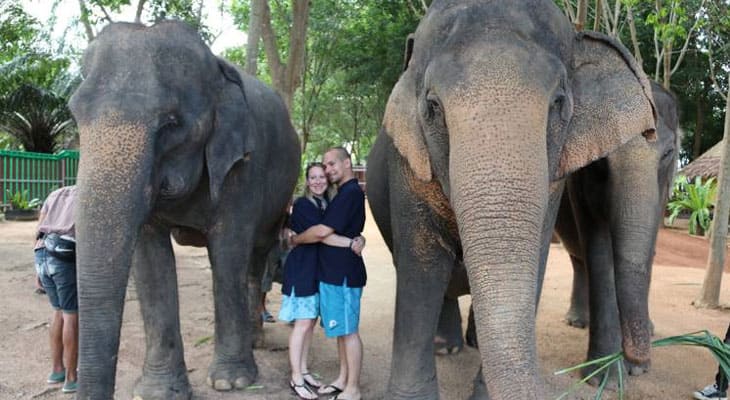 samui elephant home ethische olifanten sanctuary